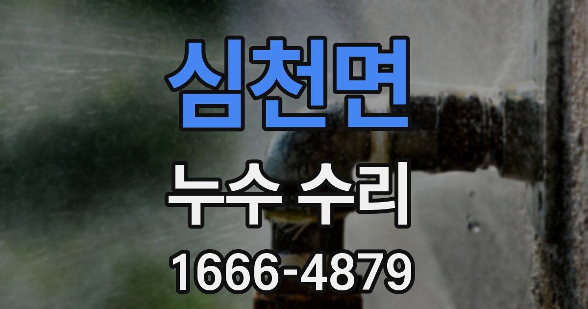 심천면 누수 수리