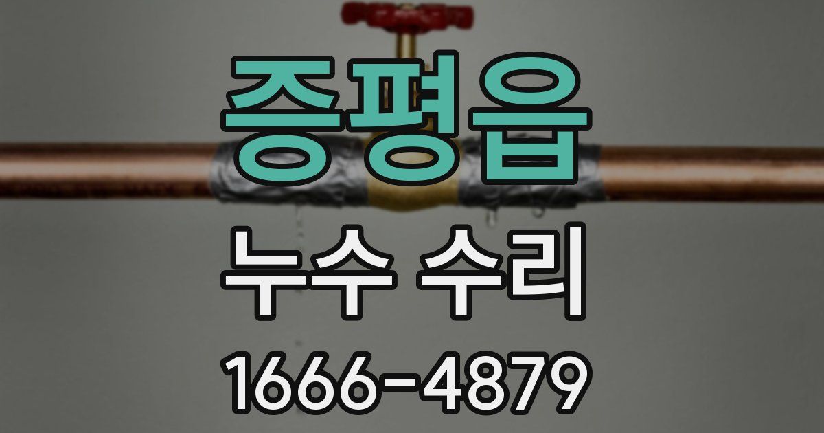증평읍 누수 수리