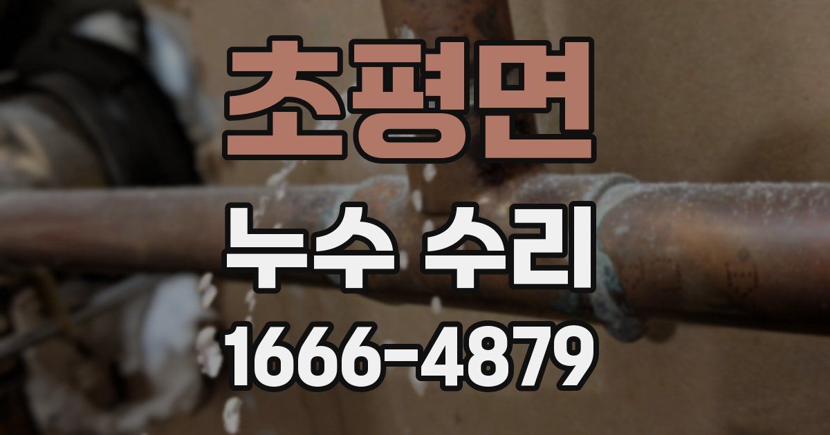 초평면 누수 수리