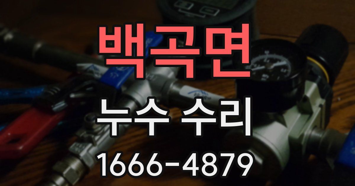 백곡면 누수 수리