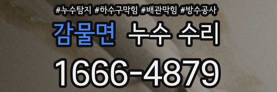 감물면 누수 수리