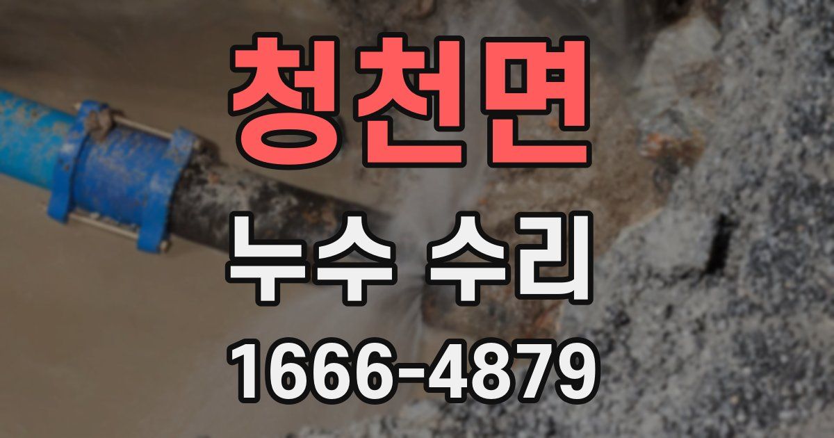 청천면 누수 수리
