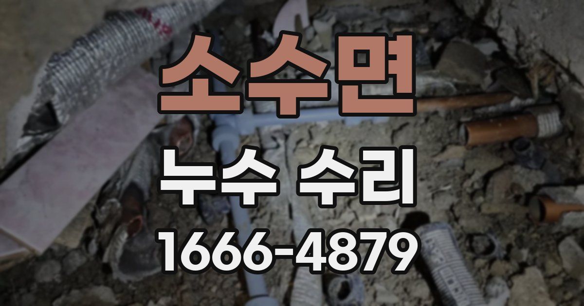 소수면 누수 수리