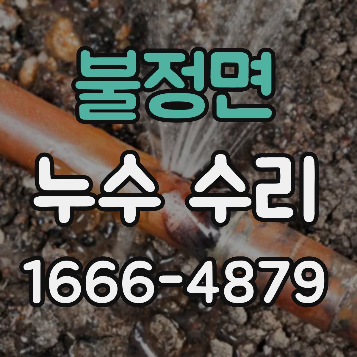 불정면 누수 수리