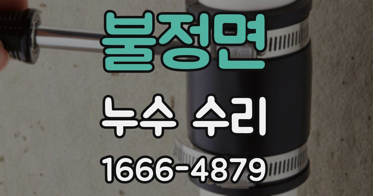 불정면 누수 수리