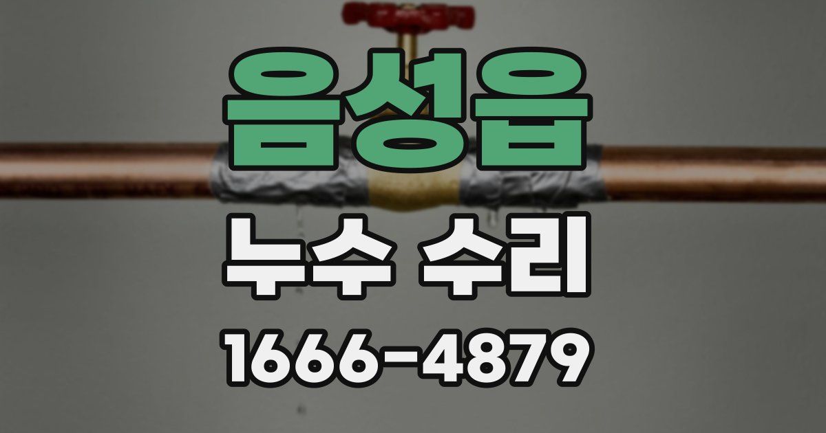 음성읍 누수 수리