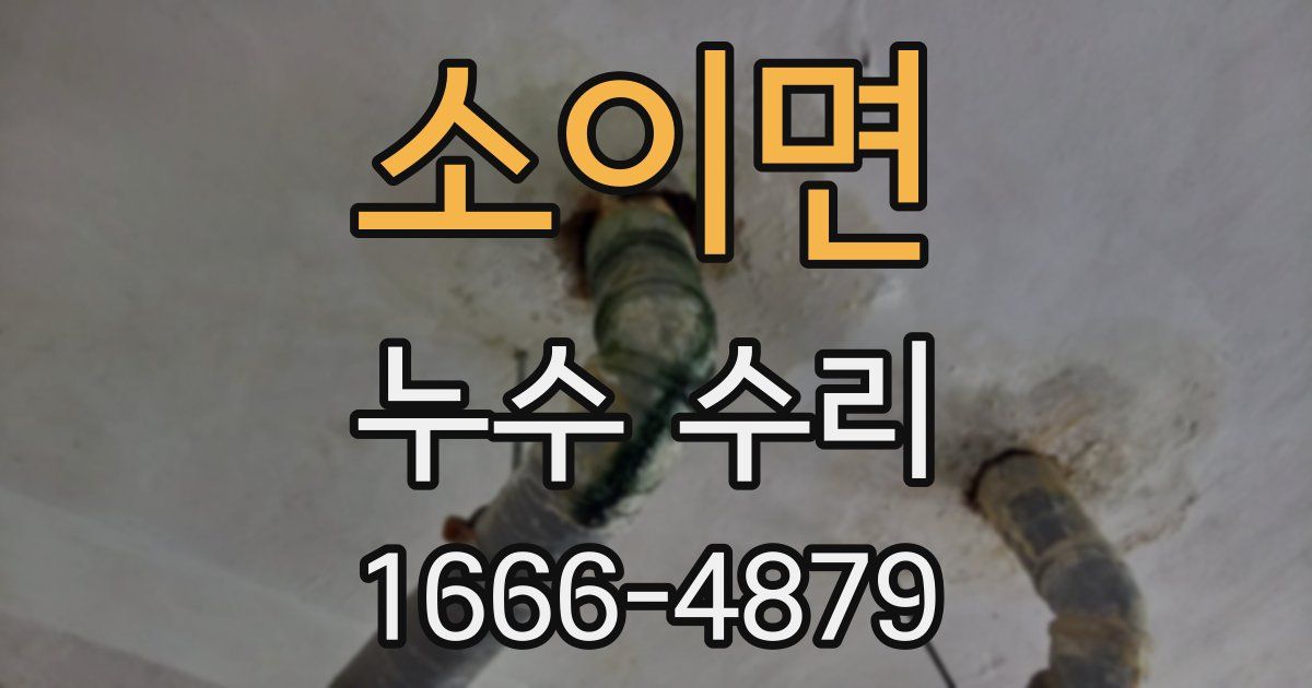 소이면 누수 수리