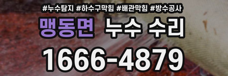 맹동면 누수 수리