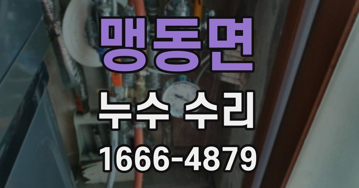 맹동면 누수 수리
