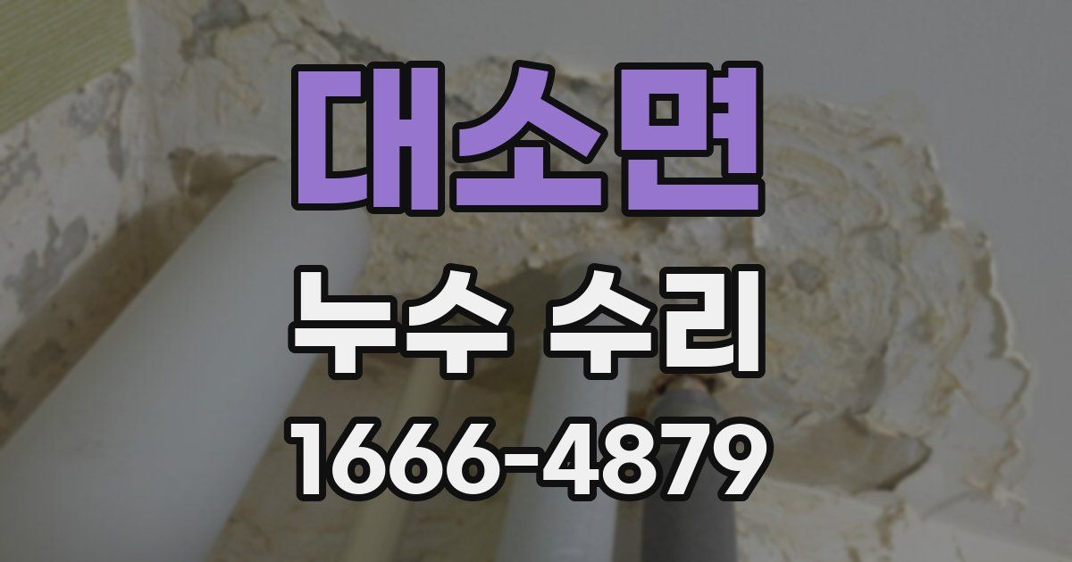 대소면 누수 수리