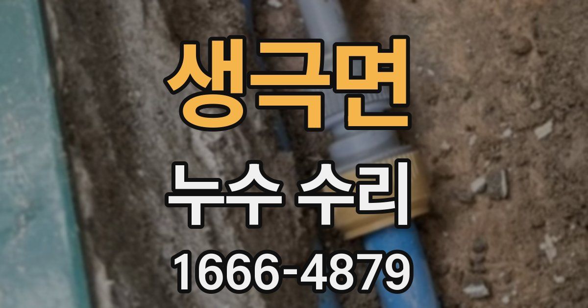 생극면 누수 수리