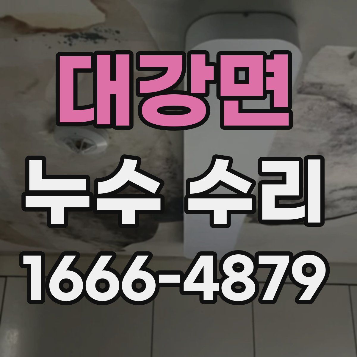 대강면 누수 수리