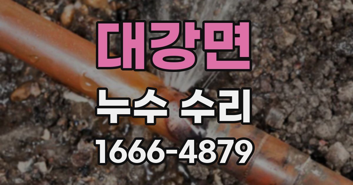대강면 누수 수리