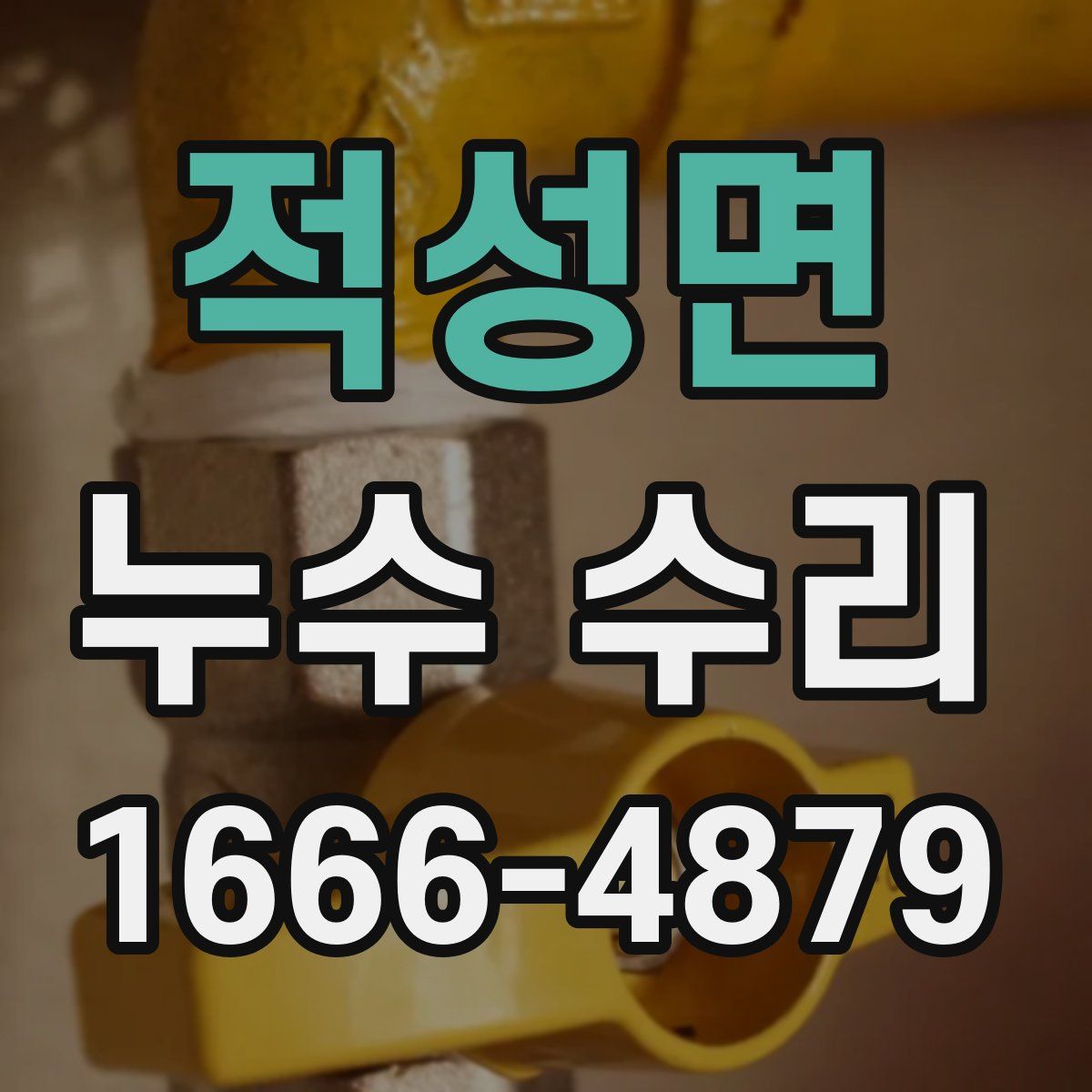 적성면 누수 수리