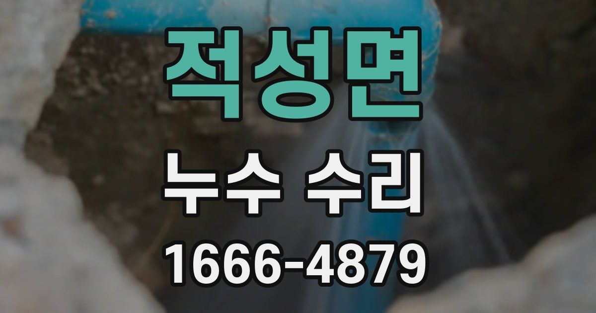 적성면 누수 수리