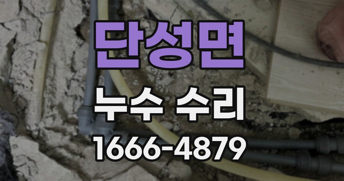 단성면 누수 수리