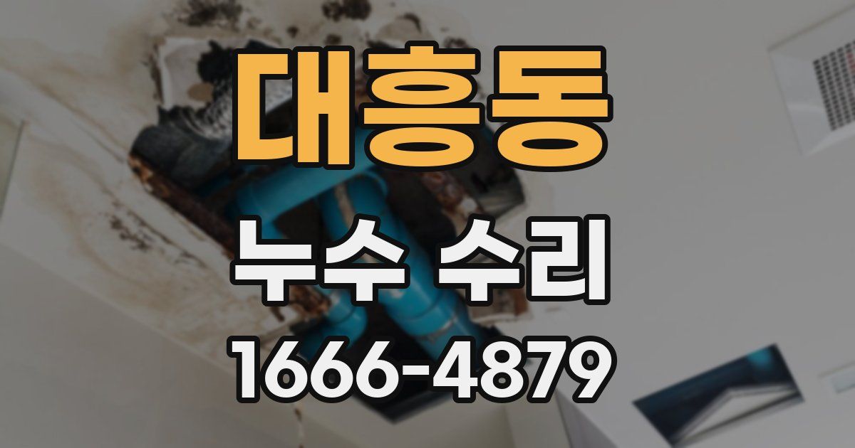 대흥동 누수 수리