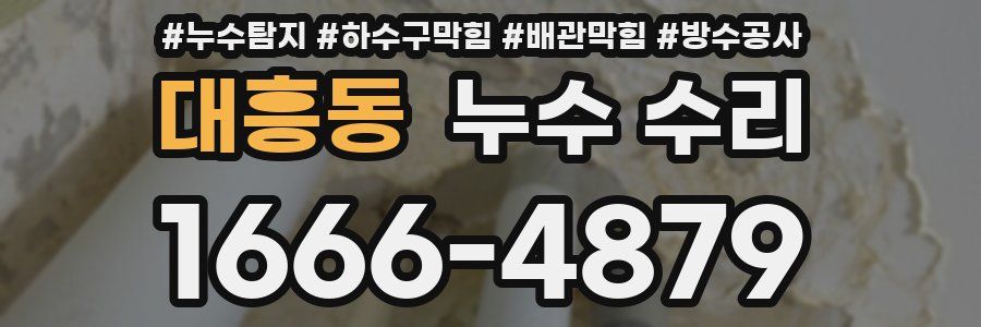 대흥동 누수 수리