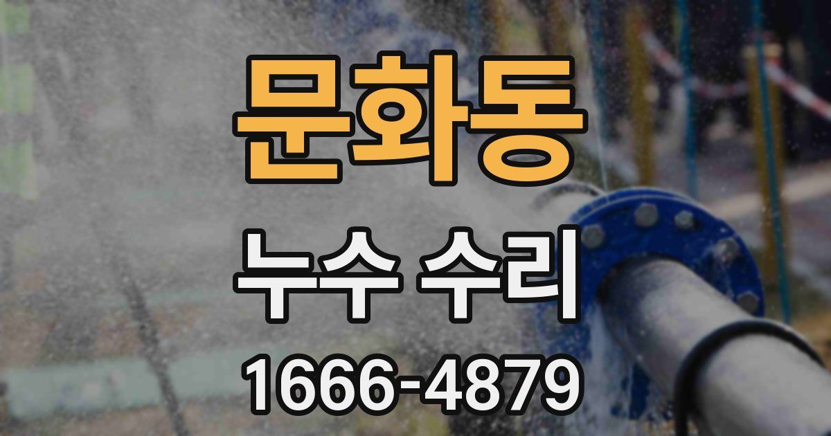문화동 누수 수리