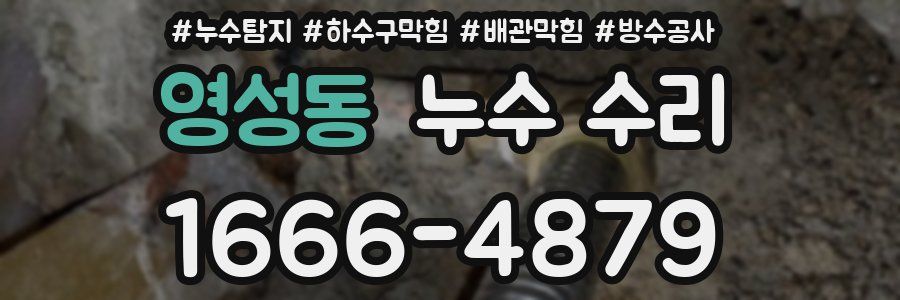 영성동 누수 수리