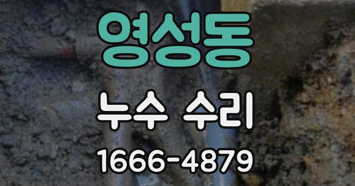영성동 누수 수리