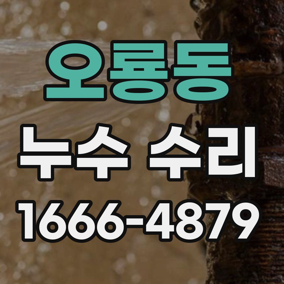 오룡동 누수 수리