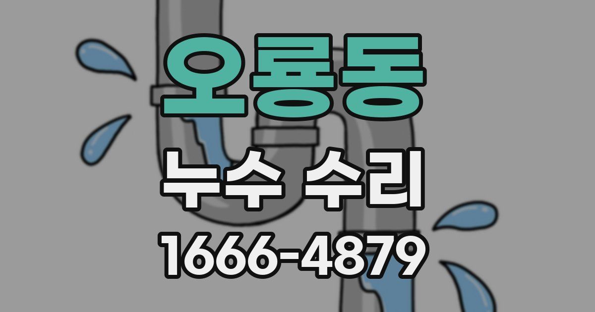 오룡동 누수 수리