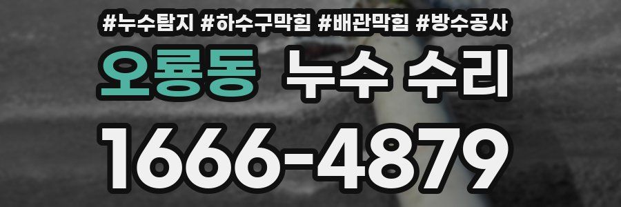 오룡동 누수 수리