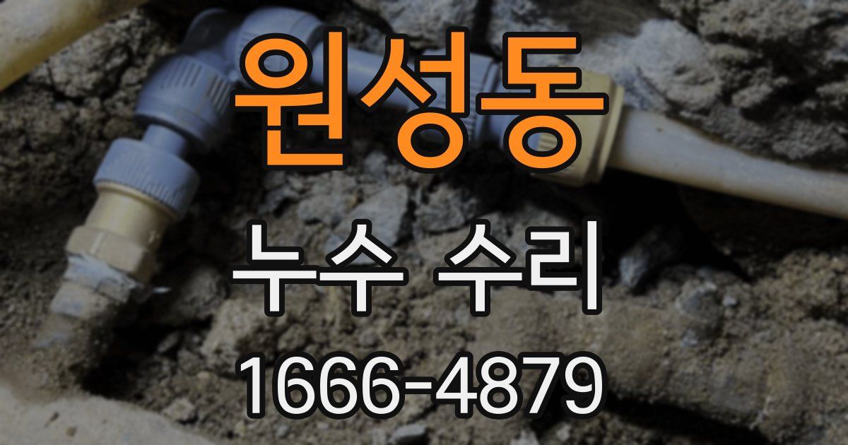 원성동 누수 수리