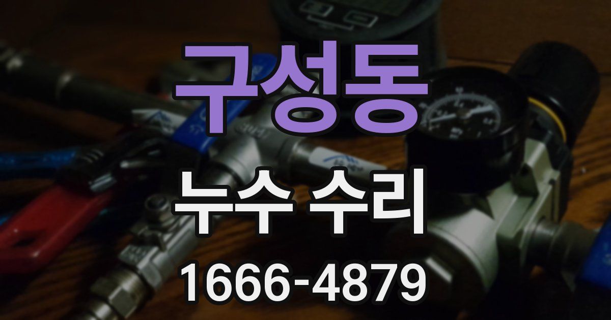 구성동 누수 수리