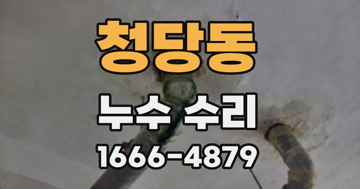 청당동 누수 수리