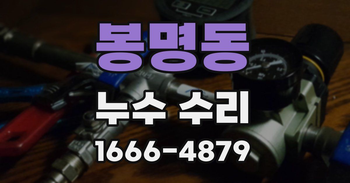 봉명동 누수 수리