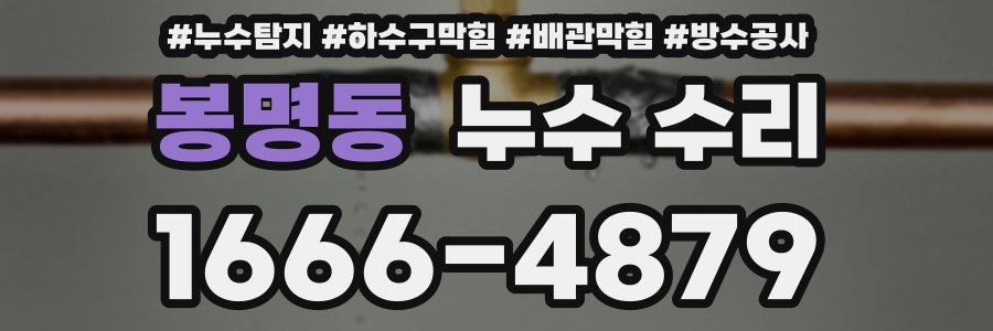 봉명동 누수 수리