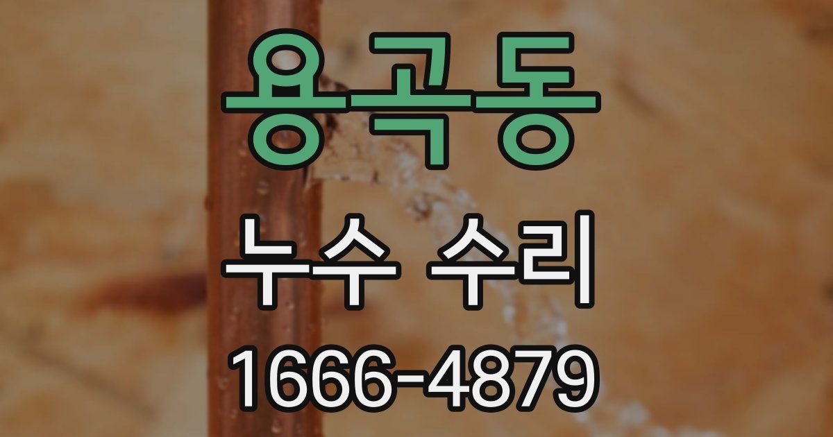용곡동 누수 수리
