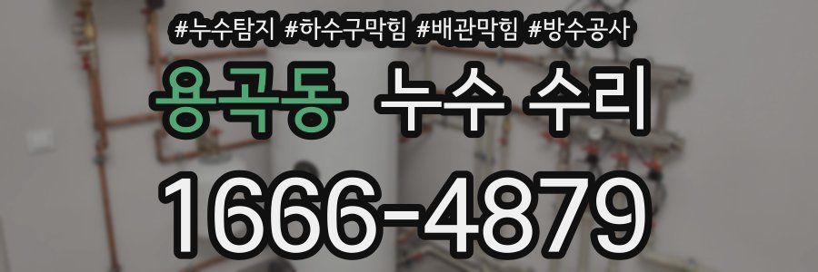 용곡동 누수 수리