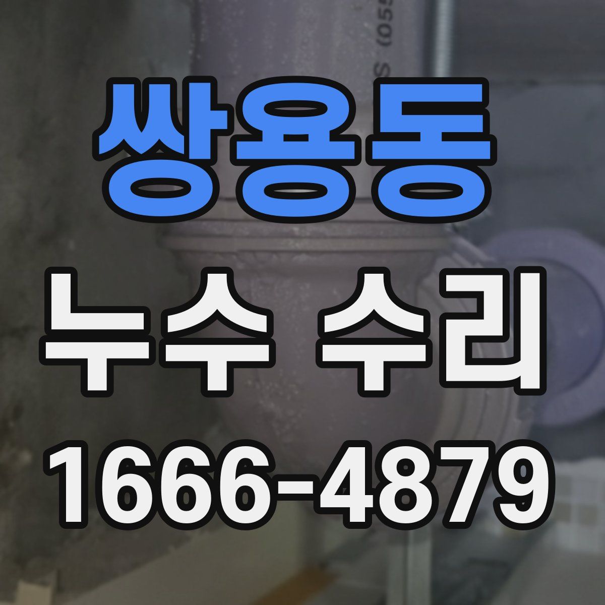 쌍용동 누수 수리