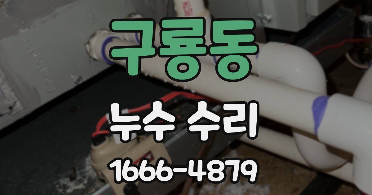 구룡동 누수 수리