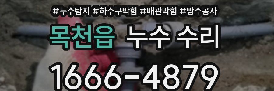 목천읍 누수 수리