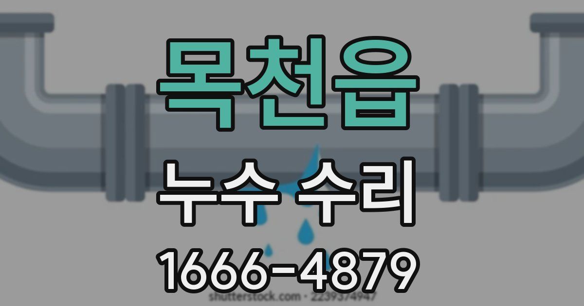 목천읍 누수 수리