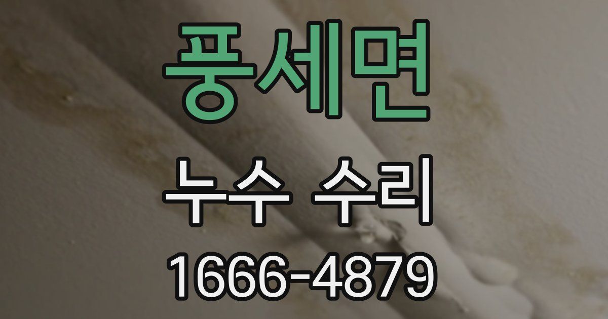 풍세면 누수 수리