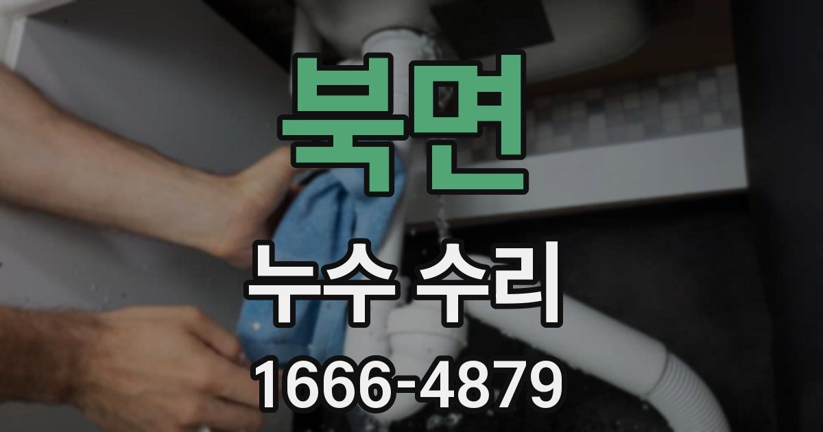 북면 누수 수리