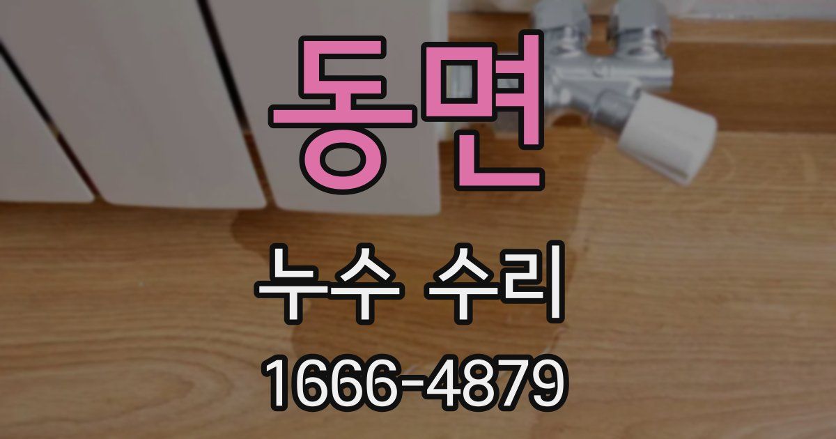 동면 누수 수리