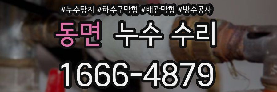 동면 누수 수리