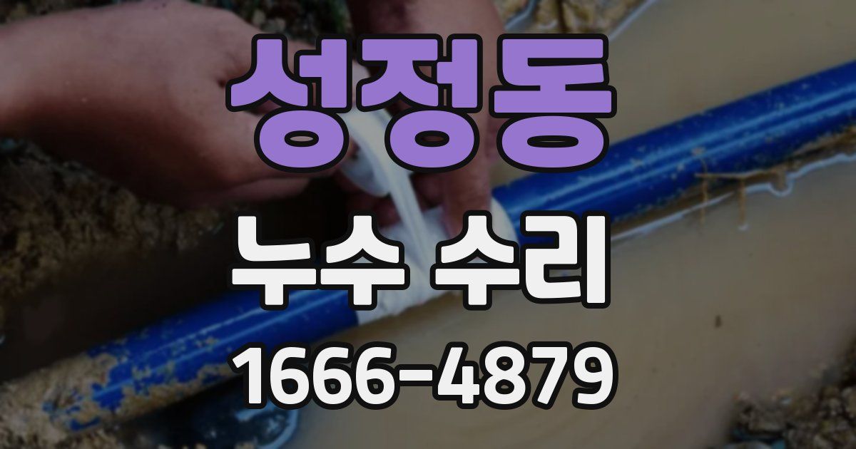 성정동 누수 수리