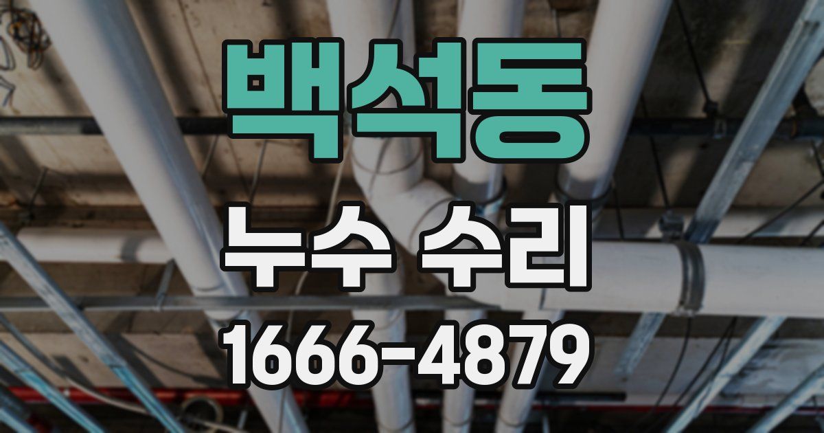백석동 누수 수리