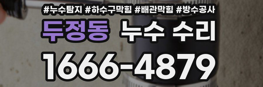 두정동 누수 수리