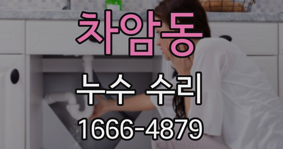 차암동 누수 수리