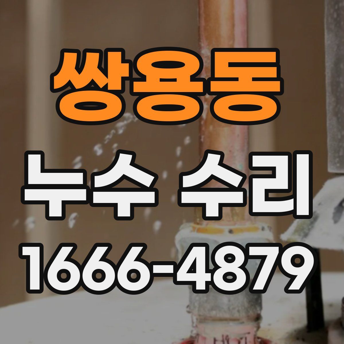 쌍용동 누수 수리