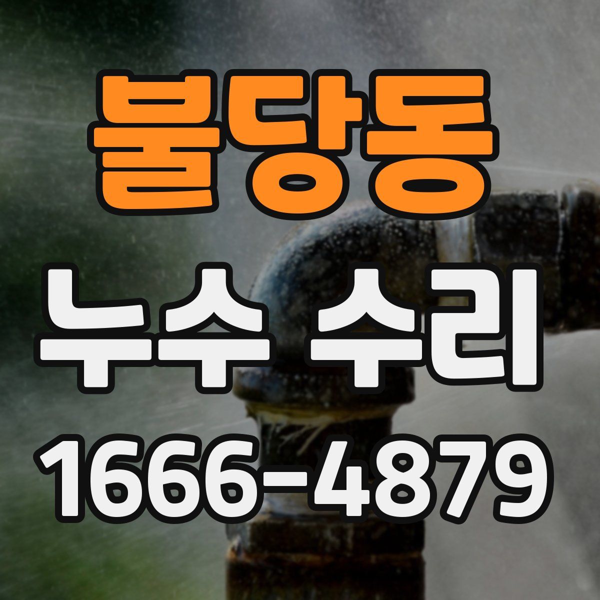 불당동 누수 수리