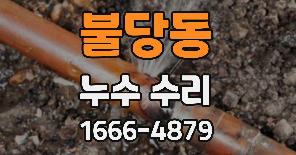 불당동 누수 수리